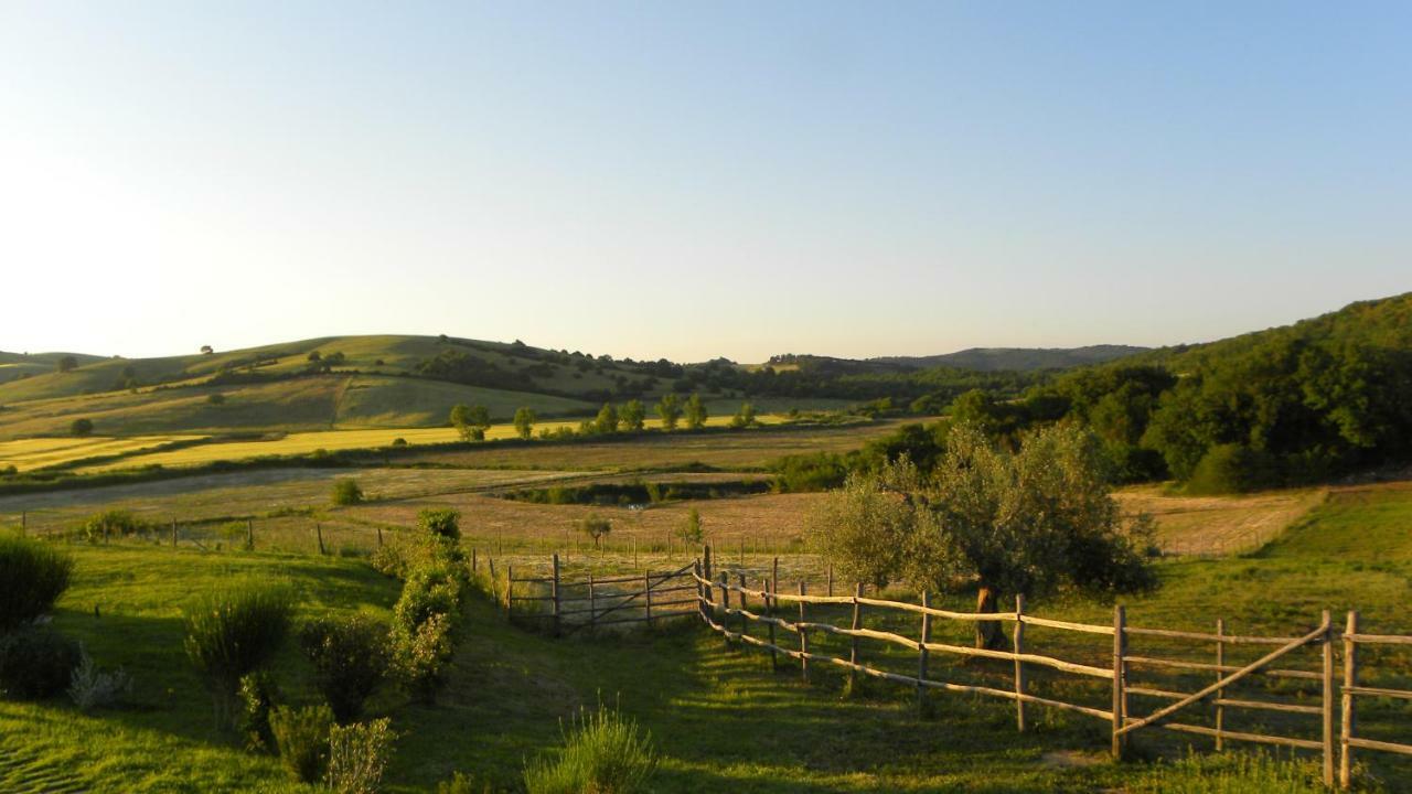 Macchiabuia Bed & Breakfast Capalbio Exterior photo